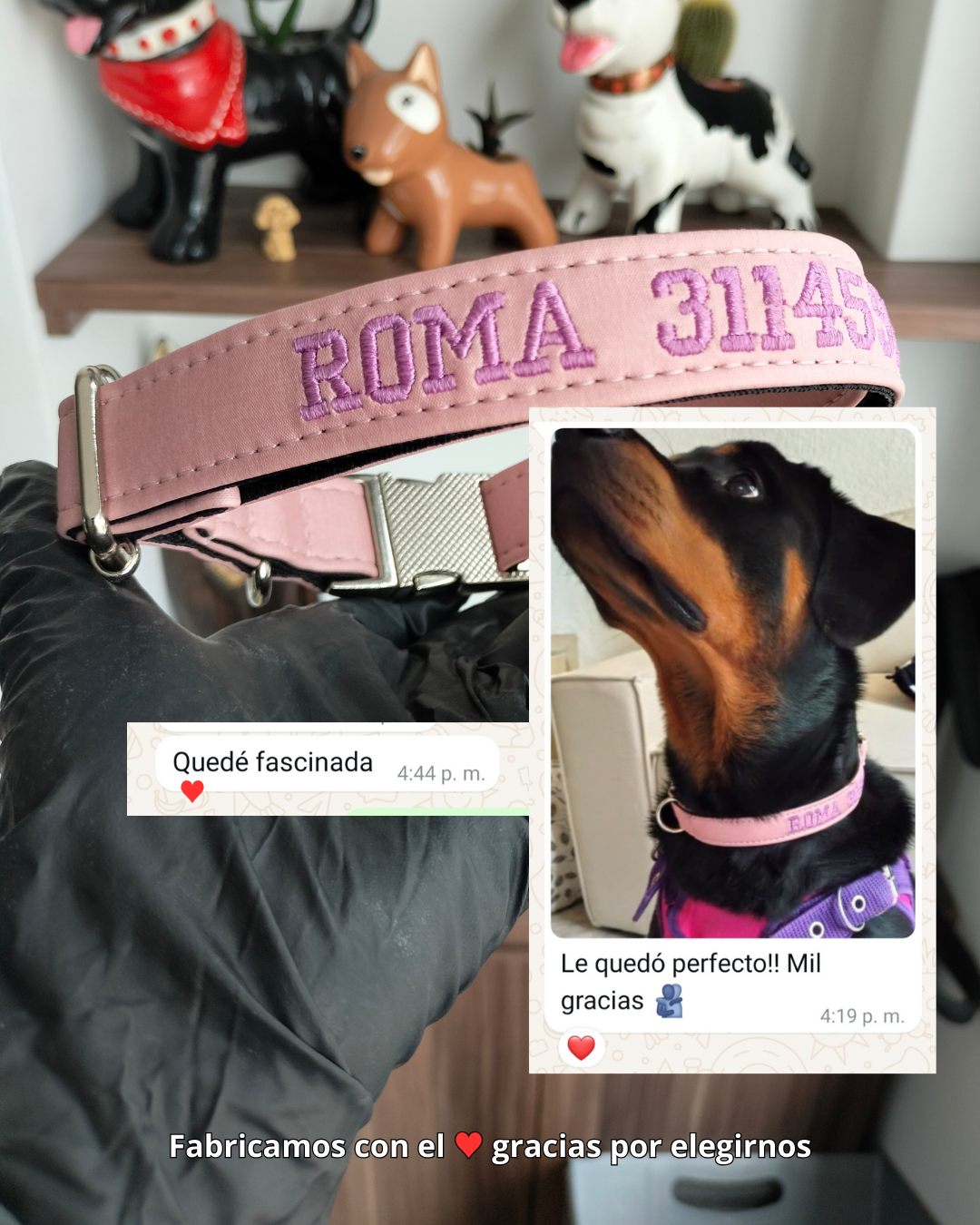 testimonio de collares